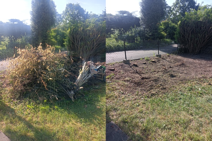 Wywóz gałęzi/odpadów zielonych